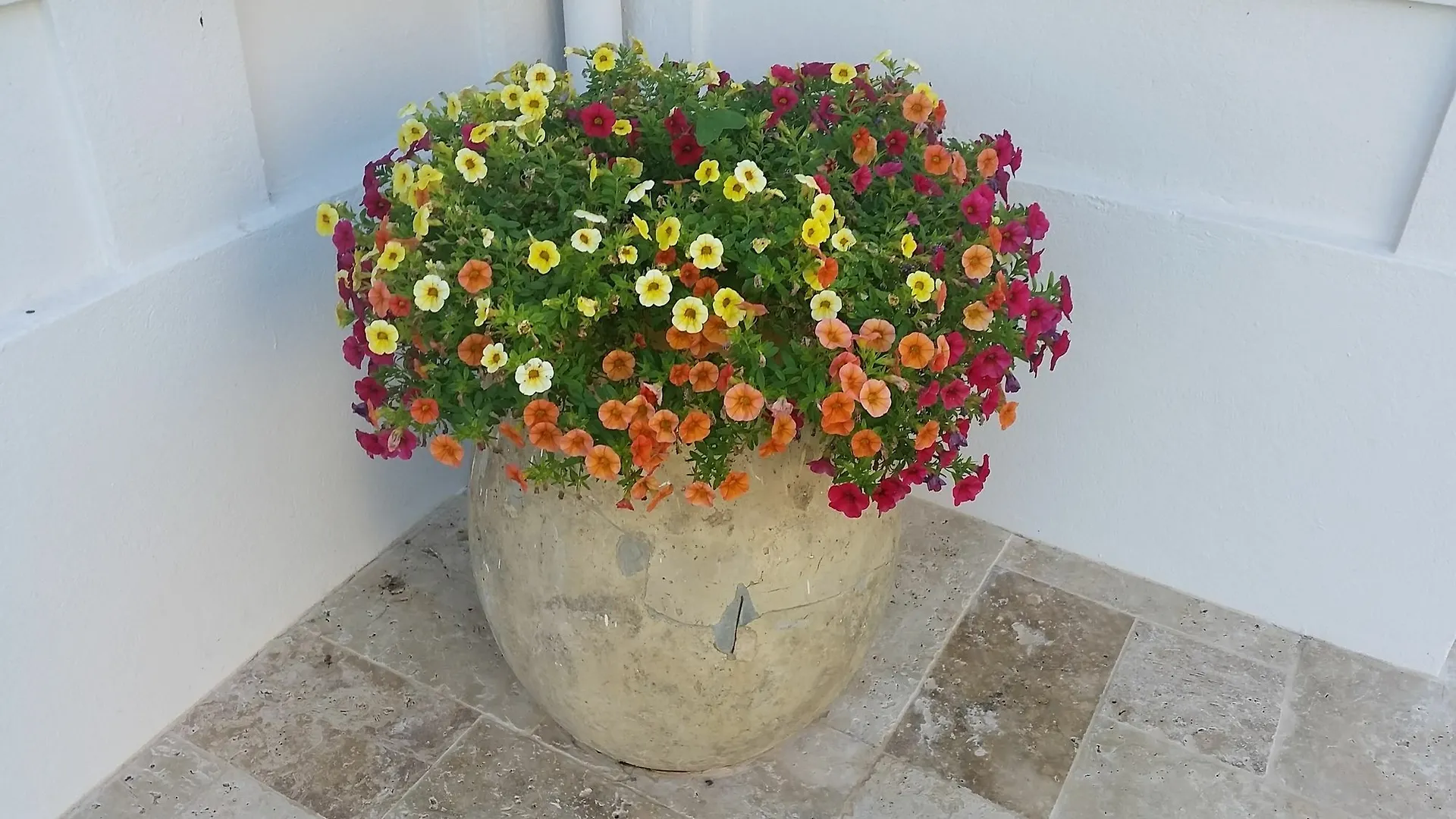 ** Bed and Breakfast B&B Villa Blanche Κάννες Γαλλία